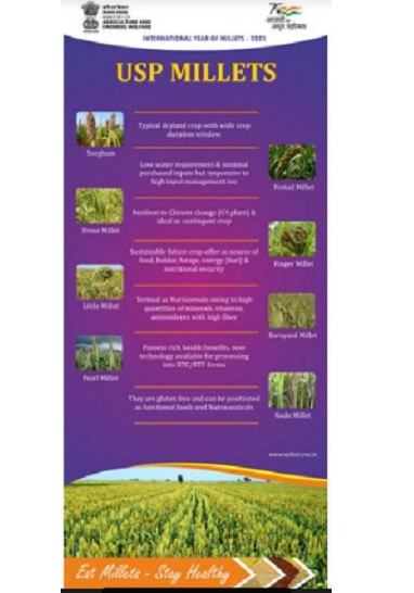  International Year of Millets 2023-II