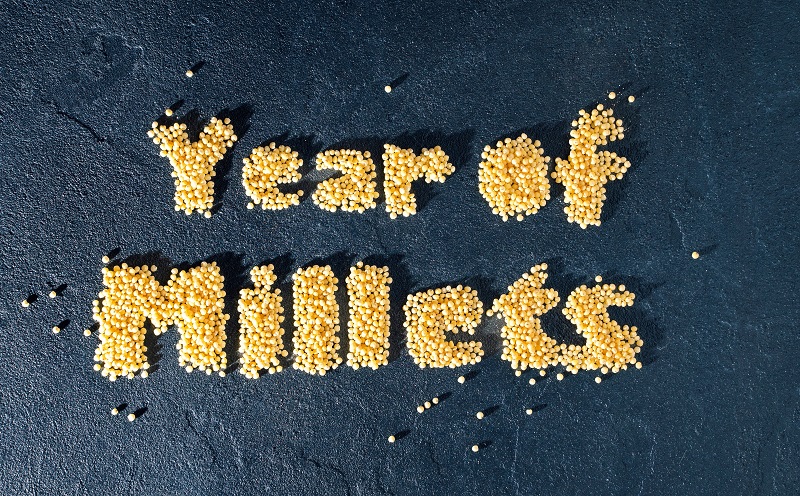  International Year of Millets 2023-IV